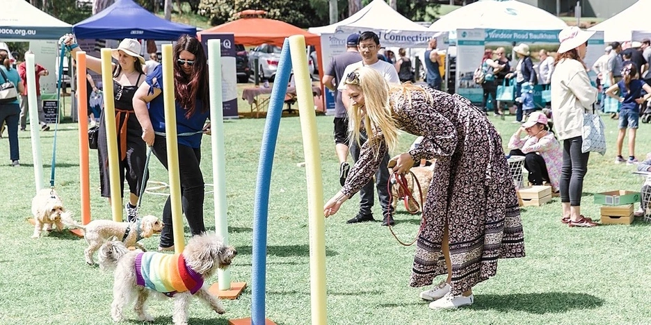 woman with dog in agility course