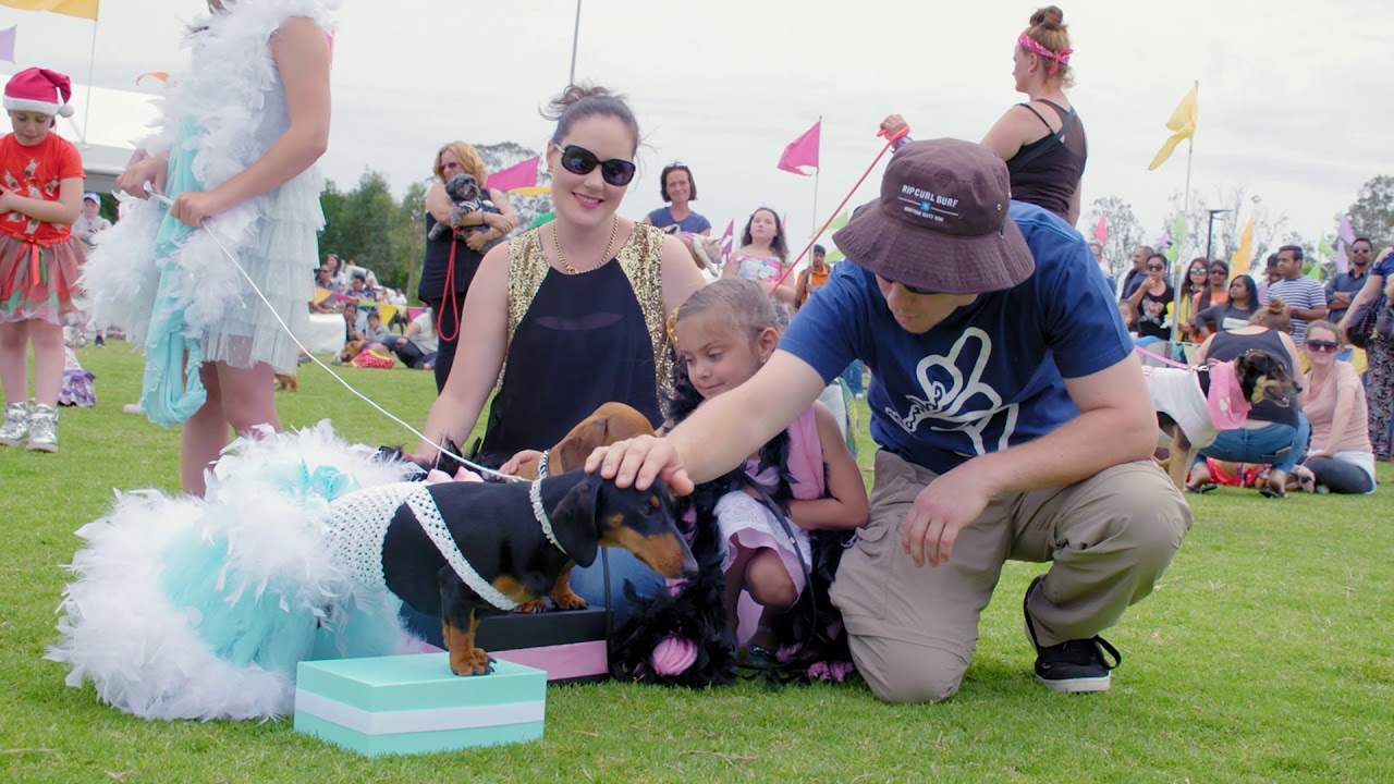 two people at dog event with dog